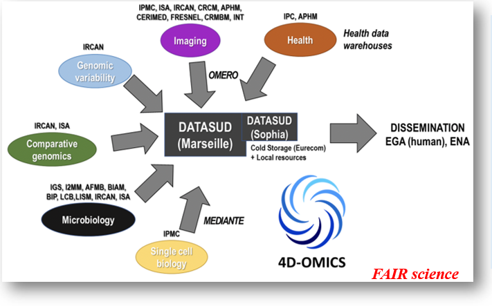 4D-OMICS