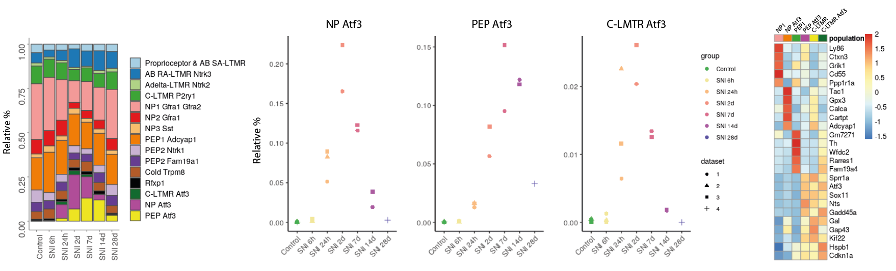 Focus sous populations surexprimant Atf3