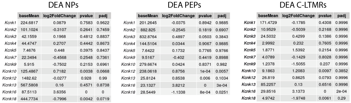 DEA K2P