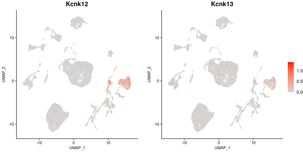 Kcnk12, Kcnk13_Wang