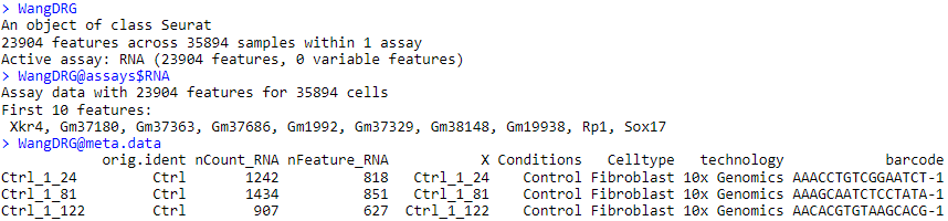 WangDRG seurat object