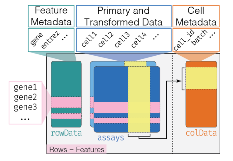 Analysis object