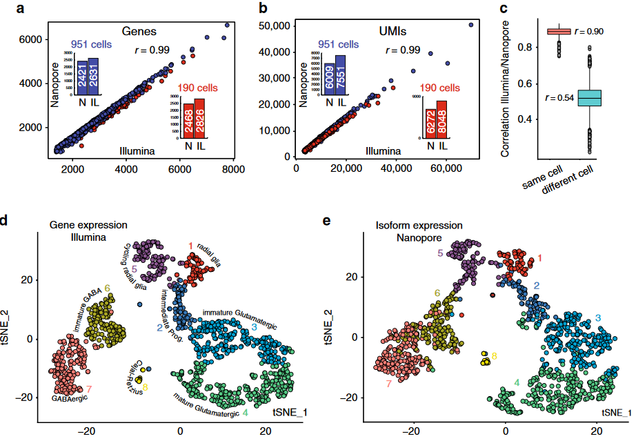 High throughput error corrected Nanopore single cell transcriptome sequencing, Lebrigand K. et al, 2020