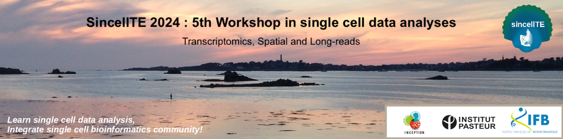 SincellTE 2024 - 5th Workshop in single cell data analyses : Transcriptomics, Spatial and Long-reads, Roscoff 2024